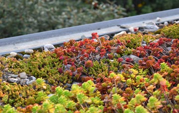 the cost of Codmore green roof installation