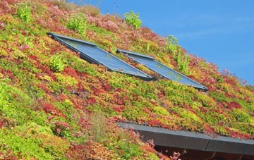 Codmore living roof systems