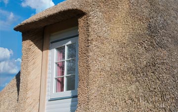 Codmore thatch roof disadvantages
